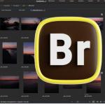 Adobe Bridge 2024 (v14.1.2.300)